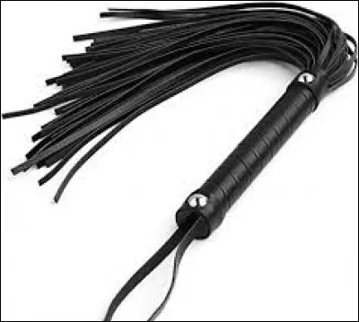 -Pauvres petites b&ecirc;tes, cette femme ... maltraite avec son fouet ! Elle est cruelle.-Oui, je suis d'accord, elle ... !