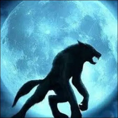 -Moi je pense que Th&eacute;o est le dernier loup-garou.-N'importe quoi, je suis voyante, c'est toi qui ... !-Ah bah si tu es voyante, quelles sont ... informations que tu as trouv&eacute;es ?-Que Fred est un loup-garou ! Il ... !