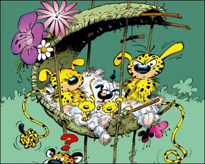 Créé par le dessinateur Franquin, le marsupilami est un animal qui existe vraiment.