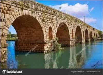Classé au Patrimoine mondial de l'Unesco, ce pont en maçonnerie est long de 792 m et de soixante arcs. Du point de vue stratégique, ce pont visait à protéger la colonie d'éventuelles attaques.
Les piliers sont de forme arrondie et des évacuateurs ont été aménagés entre les arcs pour parer les crues.
Quel est ce pont qui est réputé pour être l'un des plus anciens d'Europe ?