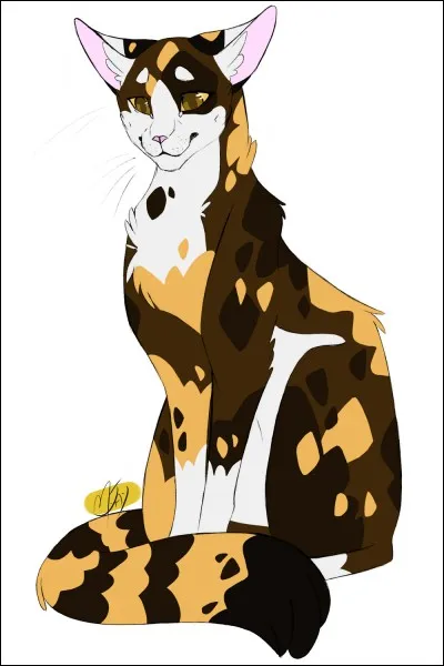 Lors d'un rêve, qui convainc Étoile de Feu de partir à la recherche de ce Clan ?