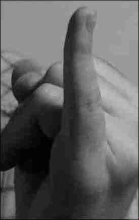 Le petit doigt de la main s'appelle l'auriculaire.