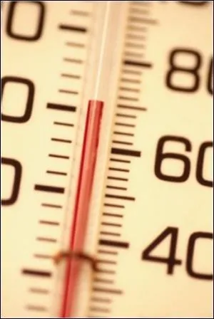 La temprature normale du corps est d'environ 38, 5 C.