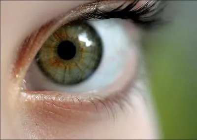 Le point noir au milieu de l'oeil s'appelle la pupille.