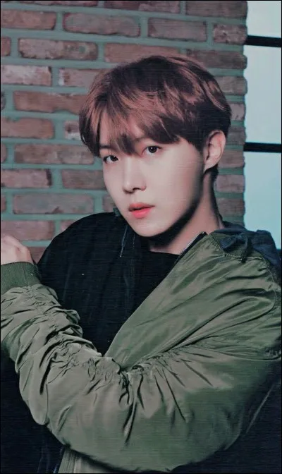 Où est né J-Hope ?