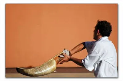 Comment s'appelle ce panier en osier fixé à la main du joueur de la pelote basque ?