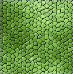 Il existe des mammifres couverts d'cailles.