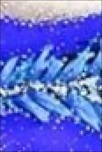 Enfin, à qui appartient ce justaucorps ?