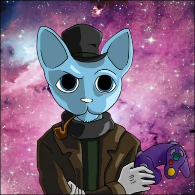 Il englobe une thématique du jeu vidéo avec de multiples références en tant qu'héritier du style des chroniques Nesblog :