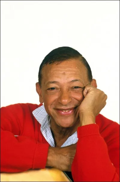 Comment la fleur est-elle dans une chanson d'Henri Salvador ?