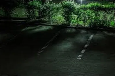 Qui chante 'Le Parking des anges' ?