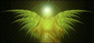 Quel footballeur était surnommé 'L'Ange Vert' ?