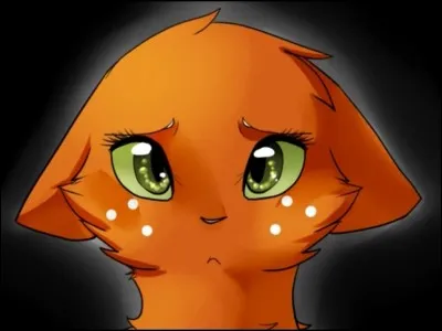 Qui sont les chatons de Poil d'Écureuil ?
(6eme cycle)