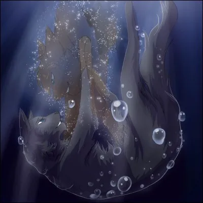 Qui s'est noyé dans un hors-série ?