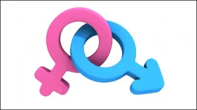 Quel déterminant est utilisé avec le nom "anagramme" ?