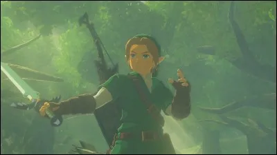 Combien faut-il de coeurs au minimum pour obtenir l'épée de Légende ?