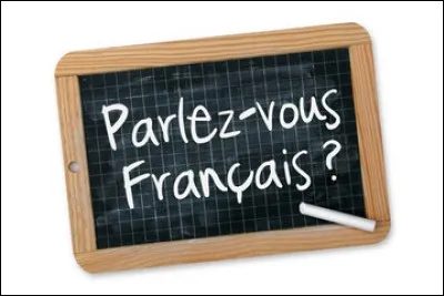 Quel déterminant placeriez-vous derrière le nom "icône" ?