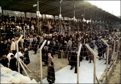 "Monsieur Klein" est un film dans lequel joue Alain Delon.