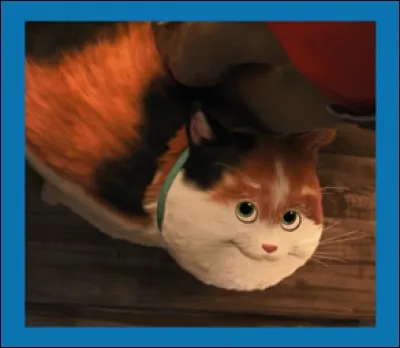 Quelle est la race de Mochi, le chat de compagnie de Hiro Hamada dans ''Les Nouveaux Héros'' ?