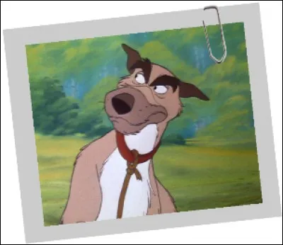 Dans quoi dort Chef, le fidèle chien de chasse d'Amos Slade dans ''Rox et Rouky'' ?