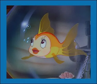 Comment Geppetto, le créateur de Pinocchio, surnomme-t-il Cleo, le poisson rouge de la maison ?