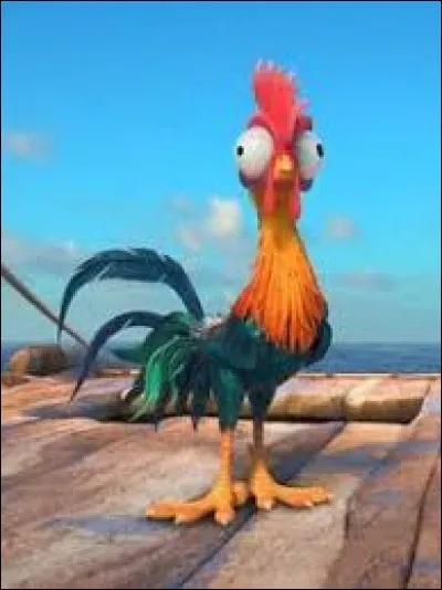 Que signifie Hei Hei, le nom du coq de compagnie de Vaiana ?