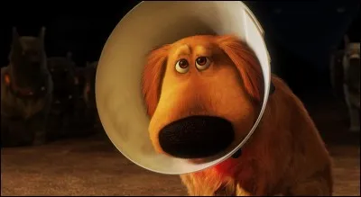 Dans quel film Disney peut-on voir ce fidèle compagnon prénommé Doug ?