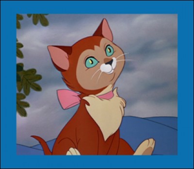 Comment se prénomme la petite chatte d'Alice dans ''Alice au pays des merveilles'' ?