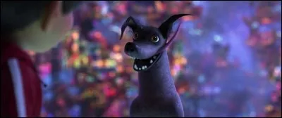 Quelle est la race de Dante, le chien errant de Miguel qui devient un alebrije dans ''Coco'' ?
