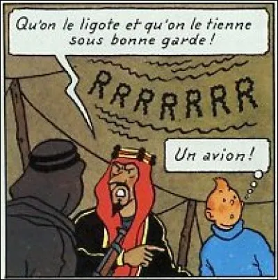 Pour quel crime Tintin se fait-il emprisonner dans "Tintin au Pays de l'Or Noir" ?