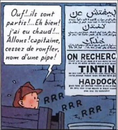 Chez qui Tintin trouvera-t-il refuge dans la ville de Wadesdah lorsqu'il est recherché ?
