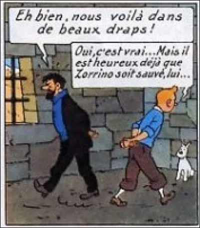 Et enfin, qu'est ce qui a permis à Tintin d'échapper à la mort lors de cet emprisonnement ?