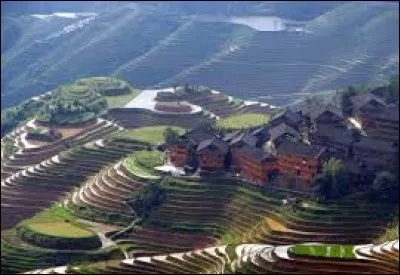 Les paysans de ces rizières en terrasse sont répartis dans trois villages bordés de forêts. Celui de la photo était le plus authentique jusqu'à la construction d'un téléphérique. 
Reste qu'on vous transporte au sommet de la montagne pour la vue panoramique sur les terrasses et qu'on donne congé à des jambes sollicitées par ce genre de randonnée.
Où peut-on voir pareilles techniques agricoles ?