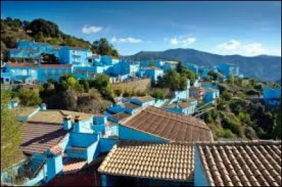 Ici, ce n'est pas un bled typique mais inspiré : si vous avez envie de voir la vie en bleu, rendez-vous dans ce petit village d'Andalousie. Un village bleu "schtroumpf" est devenu une attraction touristique : un bleu vif, tape à l'il, commercial, calqué sur..
Peut-on empêcher de gens vivant modestement de renoncer à une source de revenu.
Trouvez ce village où le bleu a mis fin au chômage.