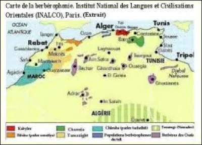 Quelle est la bonne réponse, berbère ou arabe ?