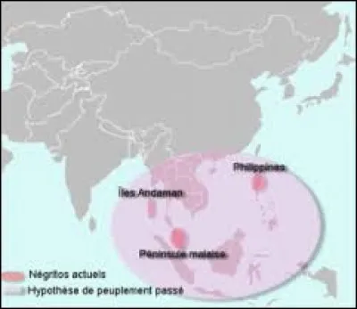 Quelles sont les ethnies de race blanche ou jaune et qui sont à peau presque noire en Asie ? (peuples premiers ou autochtones)