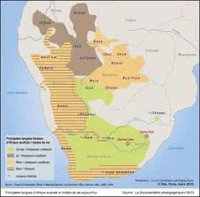 Les langues khoïshan sont
