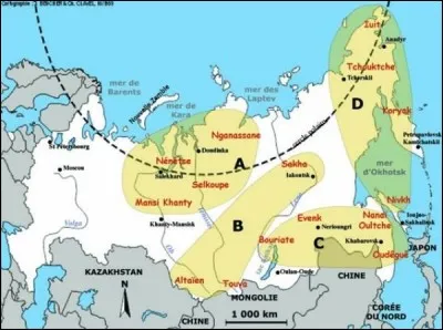 À quelle famille de langues appartiennent ces langues de Sibérie : evenk, solon, evène ou lamoute, neguidal, mandchou, oudegueï, nanai ou golde, oroqen, orok ou orotche, ulch ou oultche ?