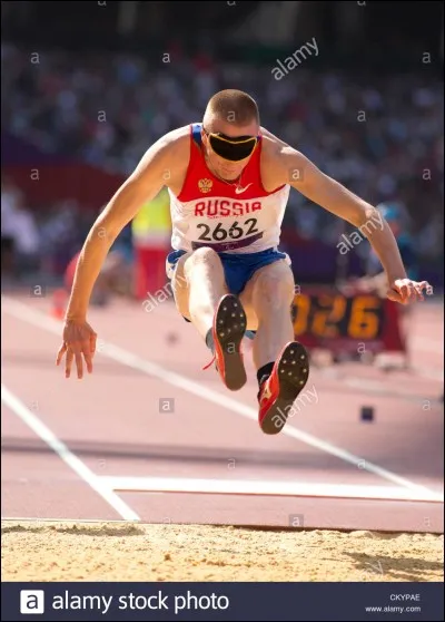 Quel mammifère est un "alces" ?