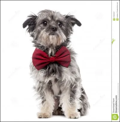 Qui se sert d'un "ajut" ?