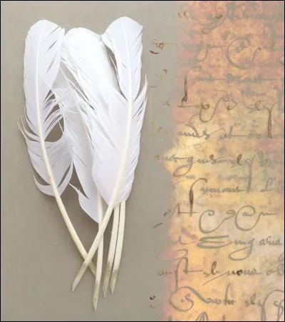 Quel type de plume était le plus couramment utilisé pour écrire au VIe siècle ?