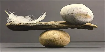 Dans quelle discipline sportive parle-t-on de poids plumes ?