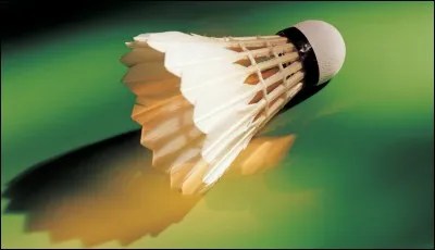 De combien de plumes d'oie ou de canard est constituée la jupe du volant de badminton ?