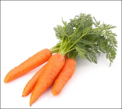 Qu'est-ce qui permet au lapin d'user ses dents ?