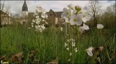Ancienne commune Deux-Sévrienne, Saint-Maurice-la-Fougereuse se situe en région ...