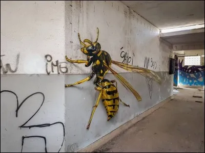 Quel est le plus grand insecte vivant aujourd'hui ?