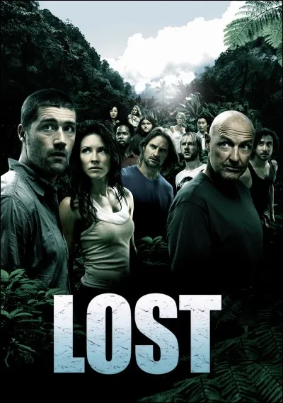 Les héros de la série télévisée américaine "Lost : les disparus", sont rescapés du crash de leur avion sur une île déserte.