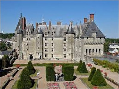 Voici le château de Langeais.