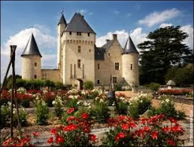 À compléter - Le château de/du ... présente 12 jardins et de superbes écuries qui fournissaient des étalons au roi François Ier.