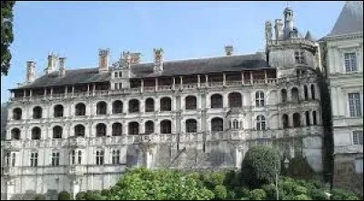 Le château de Blois est connu pour ses (son)...